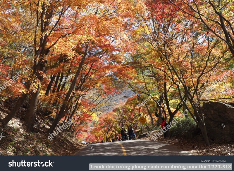 Tranh dán tường phong cảnh hồ thác, cây cối T321-556